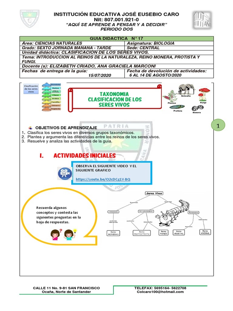Guía sobre Reinos de la Naturaleza | PDF | Hongo | Algas