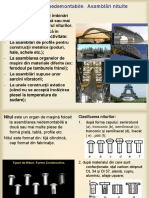 Asamblari Nituite PDF