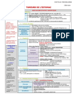 300 Tumeurs de L - Estomac PDF