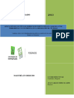 Tesis Responsabilidad Estatal Rios - Lucero - 2013 PDF