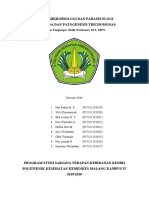 Kelompok 5 Trichomonas