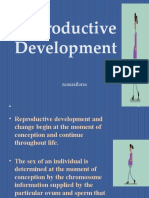 Reproductive Development