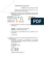 Taller - Herencia de Un Gen Simple