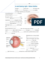 Human Eye Worksheet PDF