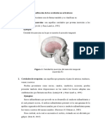 Clasificación de Las Cavidades No Articulares PDF