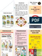 Leaflet DHF PDF