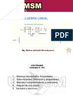 Álgebra lineal esencial