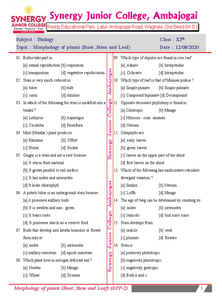 Plant Morphology: Roots, Stems, Leaves | PDF | Leaf | Plant Stem
