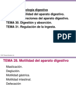 Motilidad Aparato Digestivo