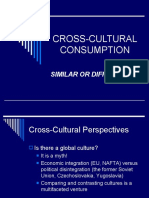 CROSS-CULTURAL CONSUMPTION SIMILARITIES AND DIFFERENCES