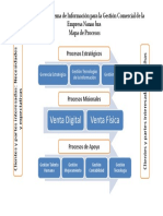 Mapa de Procesos Diseno Programa de Informacion PDF
