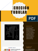 Excreción Tubular