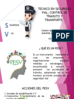  Caracteristicas Del Pesv