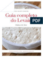Guia Do Fermento Natural PDF
