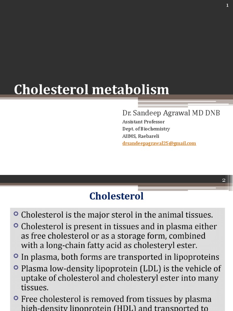 Cholesterol Metabolism Overview | PDF | Cholesterol | Bile