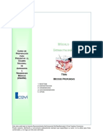 Micosis profundas: micetoma, esporotricosis y cromomicosis