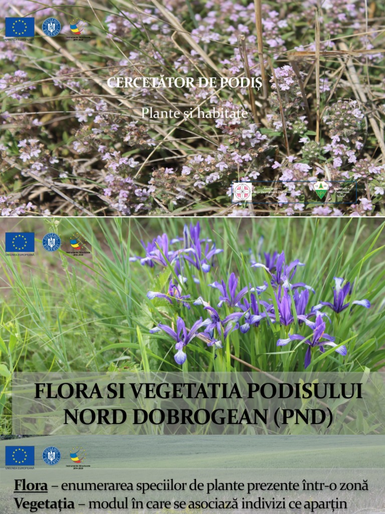 SMIS116964 - Cercetatori de Podis - Plante Si Habitate | PDF