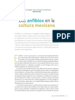 Artículo Sobre Los Anfibios PDF