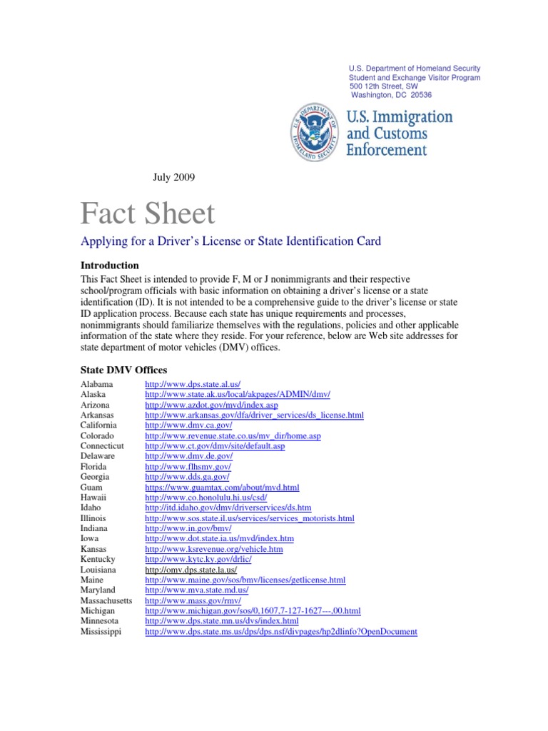 DMV Factsheet | PDF | Driver's License | Social Security Number