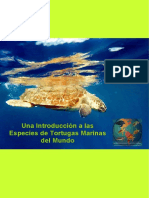 Una Introducción A Las Especies de Tortugas Marinas Del Mundo