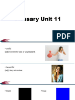 Glossary Unit 11
