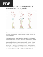 Biomecánica de la Pelvis y Movimientos | PDF | La columna vertebral ...