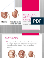 Insuficiencia Renal Cronica