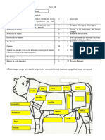 Taller Domesticacion Exterior