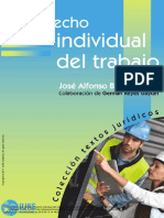 José Alfonso Bouzas Ortiz - Derecho individual del trabajo_Iure.pdf · versión 1.pdf