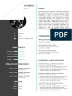 70 Curriculum Vitae Artistico PDF