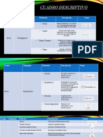 Cuadro Descriptivo Power Point Daiki