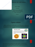 Figuras Radiales