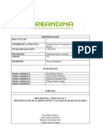 Informe de Laboratorio Celulas de Elodea