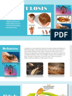 PEDICULOSIS Exposicion PDF