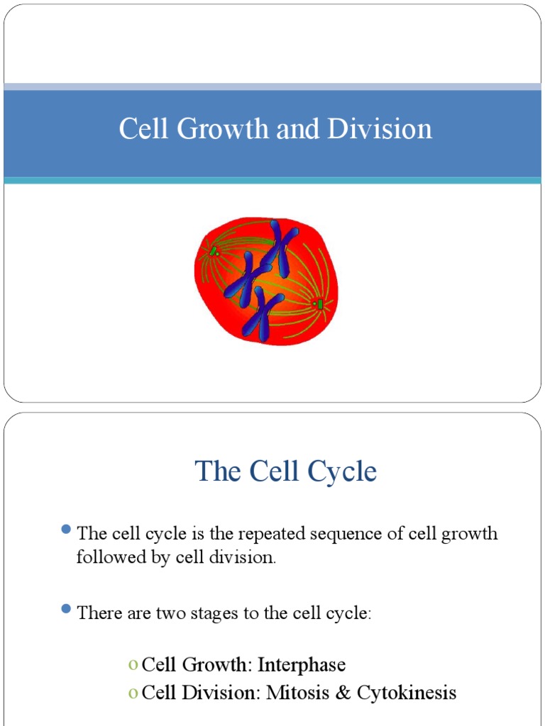 Understanding Cell Growth and Division | PDF | Mitosis | Cell Cycle
