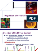 Regulation of Cell Division: AP Biology