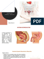 Sistemas Orgánicos 1 PDF