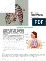 SISTEMA RESPIRATORIO y CARDIACO