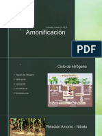 Amonificación