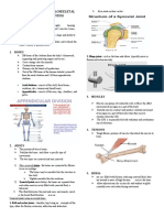 Assessment of Musculoskeletal and Neurologic System