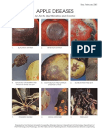 Identifying and Controlling Common Apple Diseases