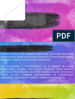 Micotoxinas y Micotoxicosis: Introducción a las principales toxinas fúngicas