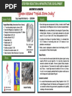 Anatomy of A Disaster JRMC