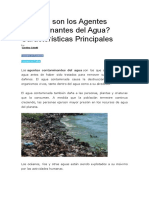 Cuáles Son Los Agentes Contaminantes Del Agua