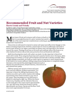 Recommended Fruitnut PDF