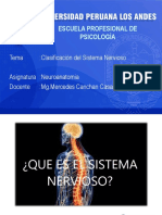 SISTEMA NERVIOSO VIRTUAL.pdf