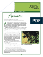 Emailing Avocado PDF