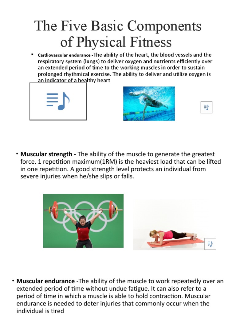 Five Components of Physical Fitness | PDF | Flexibility (Anatomy) | Muscle