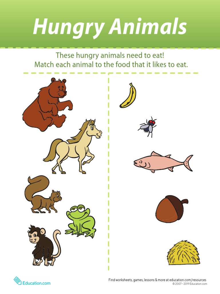 What Do Animals Eat Worksheet PDF PDF