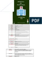 Aula 1 de Pato Virtual